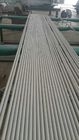 AP tubes Annealed And Pickled Thin Wall Stainless Steel Tubing