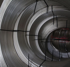 Good price ASTM A269/A249 Stainless steel coil tube online