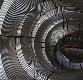 Welded Round Stainless Steel Tubing Coil 200 - 1000mm For Beer Drinks Evaporator