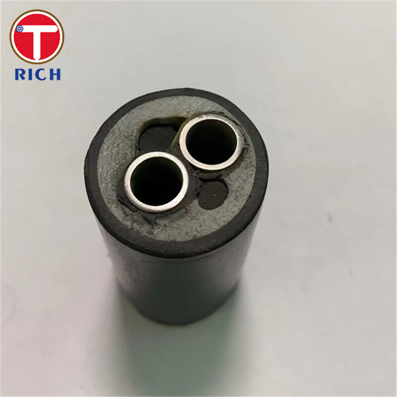 Multi-Core Stainless Steel Seamless Tube with Plastic Coating for Shipbuilding in 304L/316L/Duplex 2205 Grades and Cold Drawn/Hot Rolled Techniques