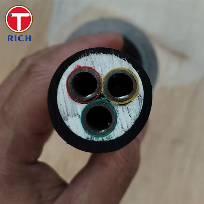 Multi-Core Stainless Steel Seamless Tube with Plastic Coating for Shipbuilding in 304L/316L/Duplex 2205 Grades and Cold Drawn/Hot Rolled Techniques
