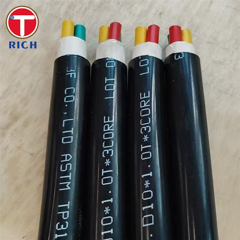 Multi-Core Stainless Steel Seamless Tube with Plastic Coating for Shipbuilding in 304L/316L/Duplex 2205 Grades and Cold Drawn/Hot Rolled Techniques