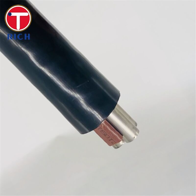 Multi-Core Stainless Steel Seamless Tube with Plastic Coating for Shipbuilding in 304L/316L/Duplex 2205 Grades and Cold Drawn/Hot Rolled Techniques