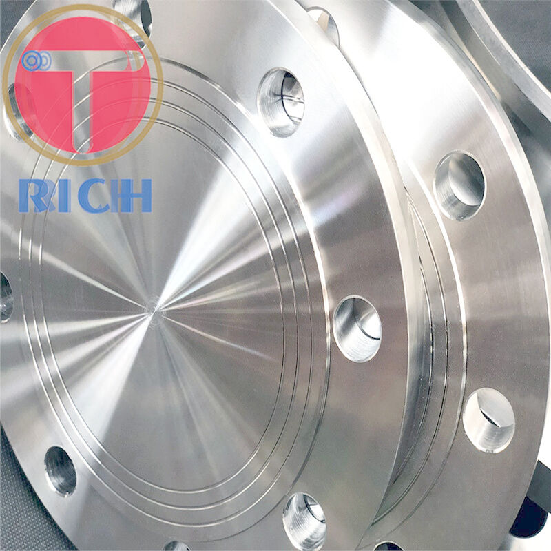 Torich Asme B Pharmaceutical Chemical Blind Flange Stainless Fitting